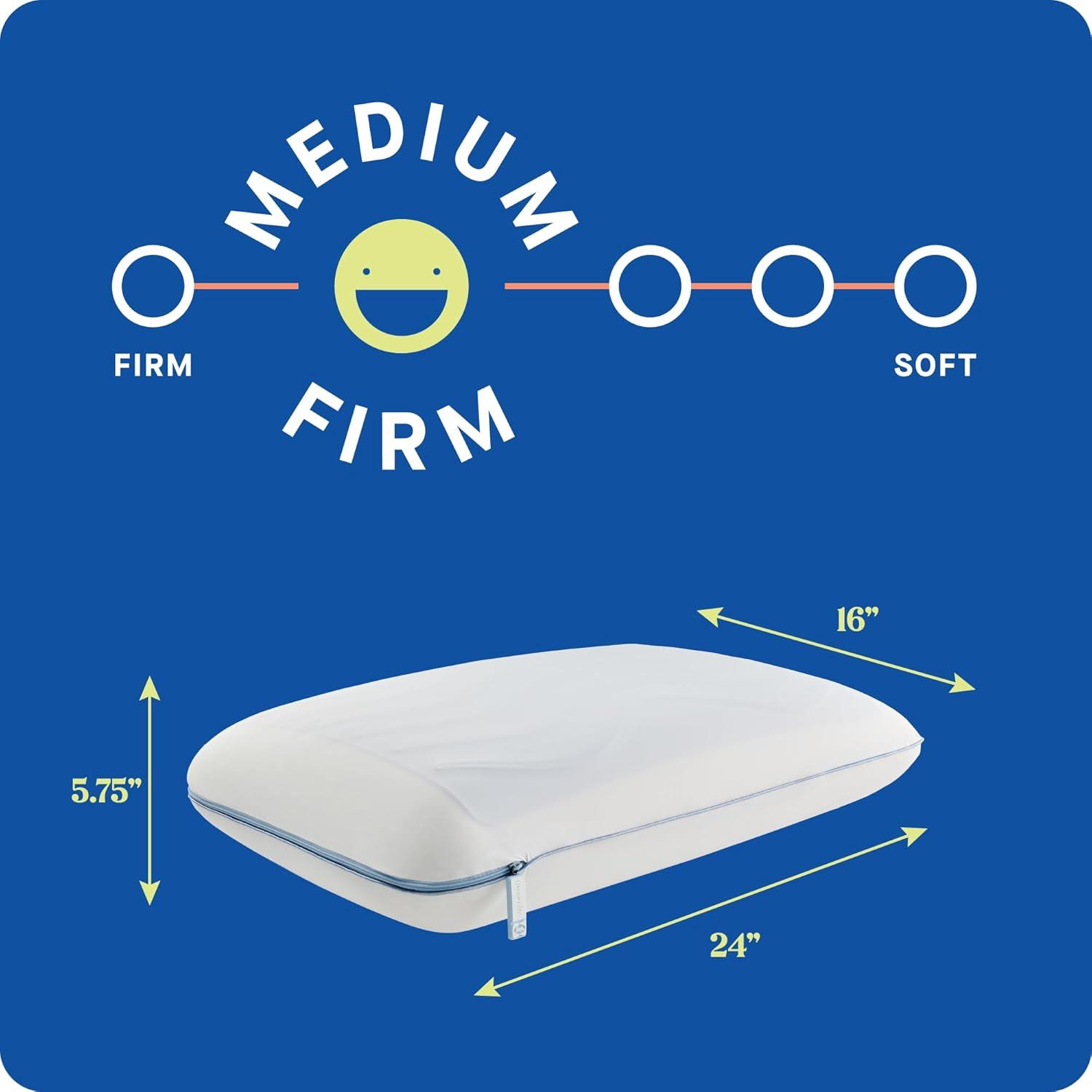 Sealy Dreamlife Standard Medium Machine Washable Dual Pack Bed Pillow