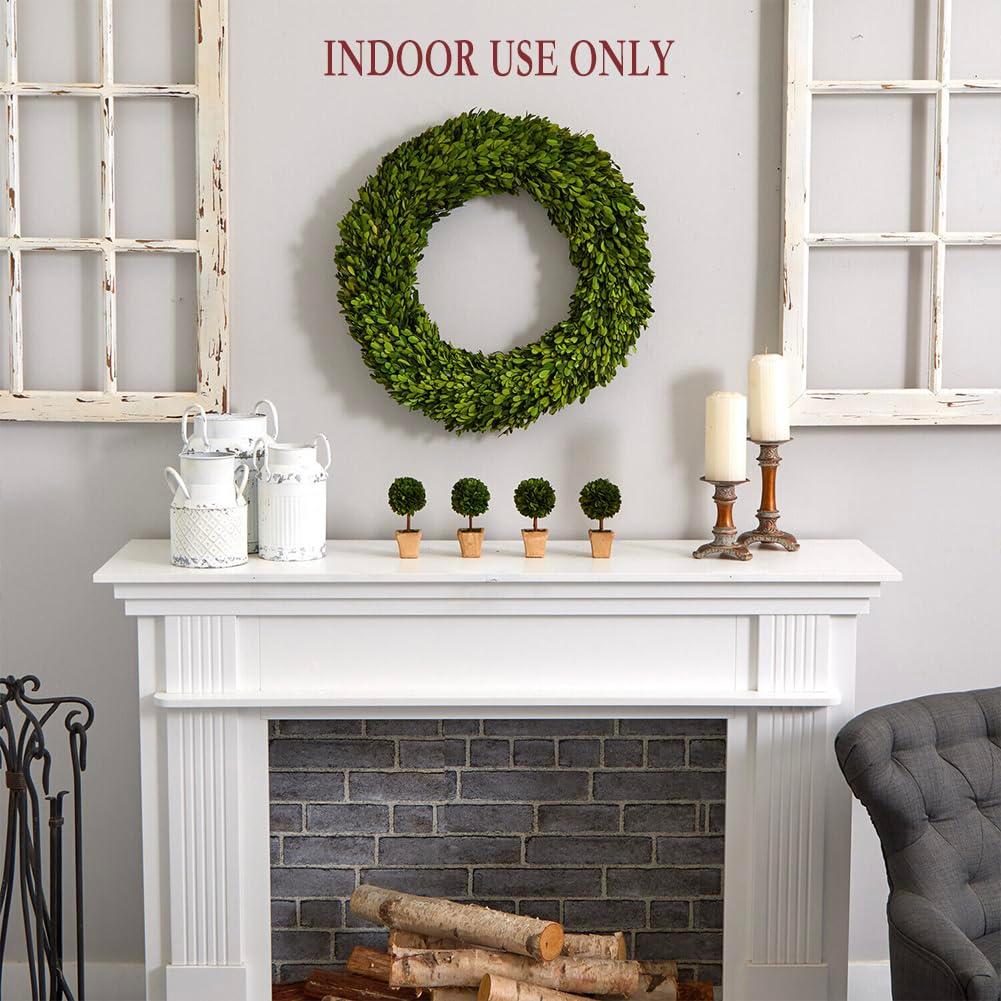 Alby Preserved Boxwood Real Greenery Wreath
