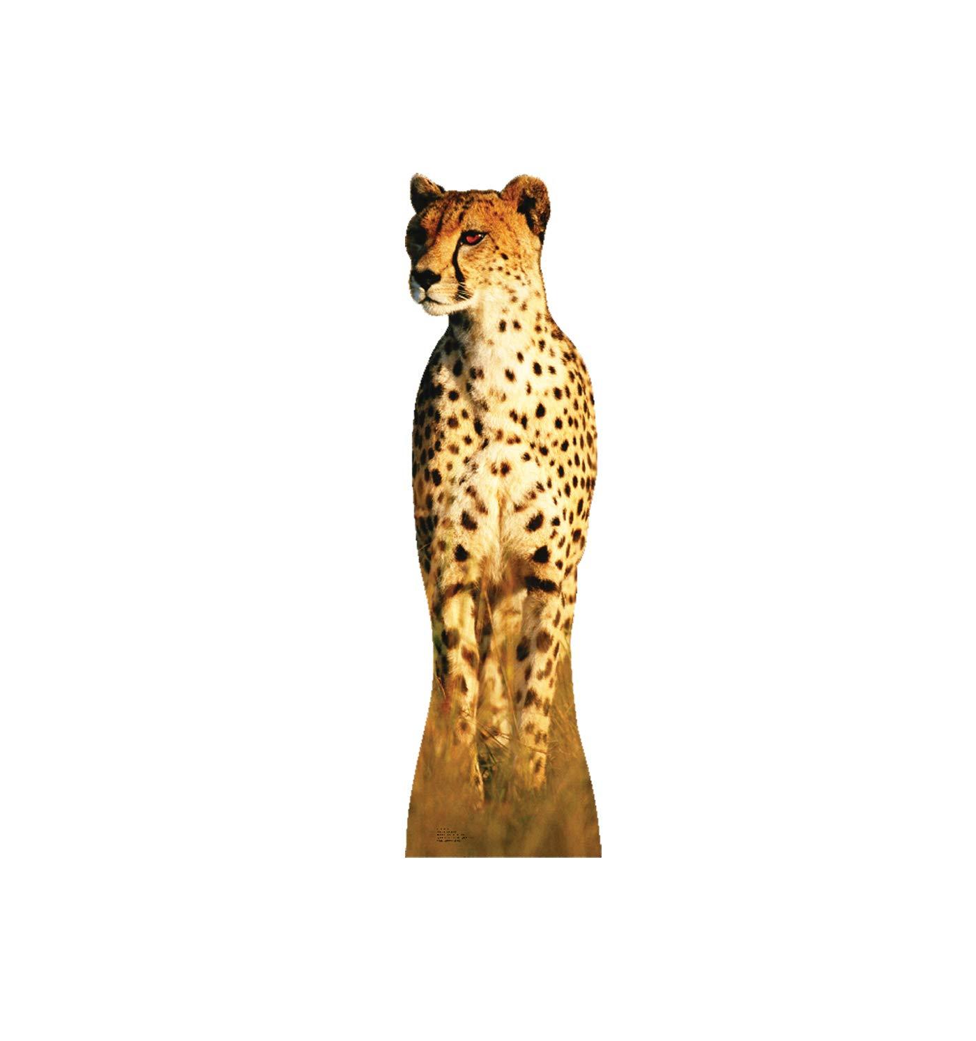 Cheetah Life-Size Cardboard Stand-Up