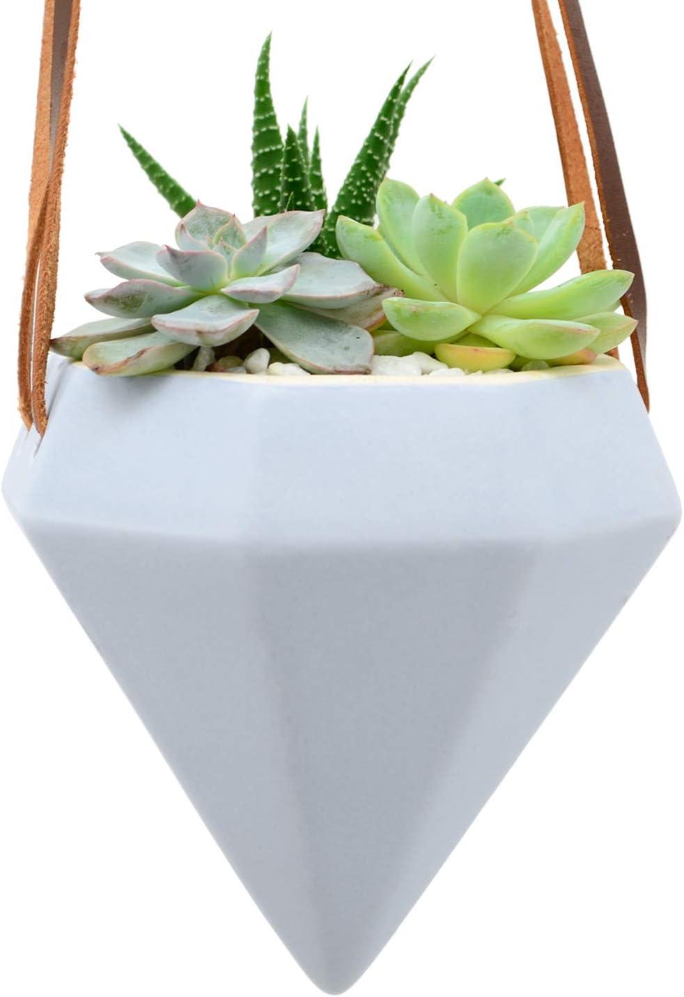 Guilford Ceramic Hanging Planter