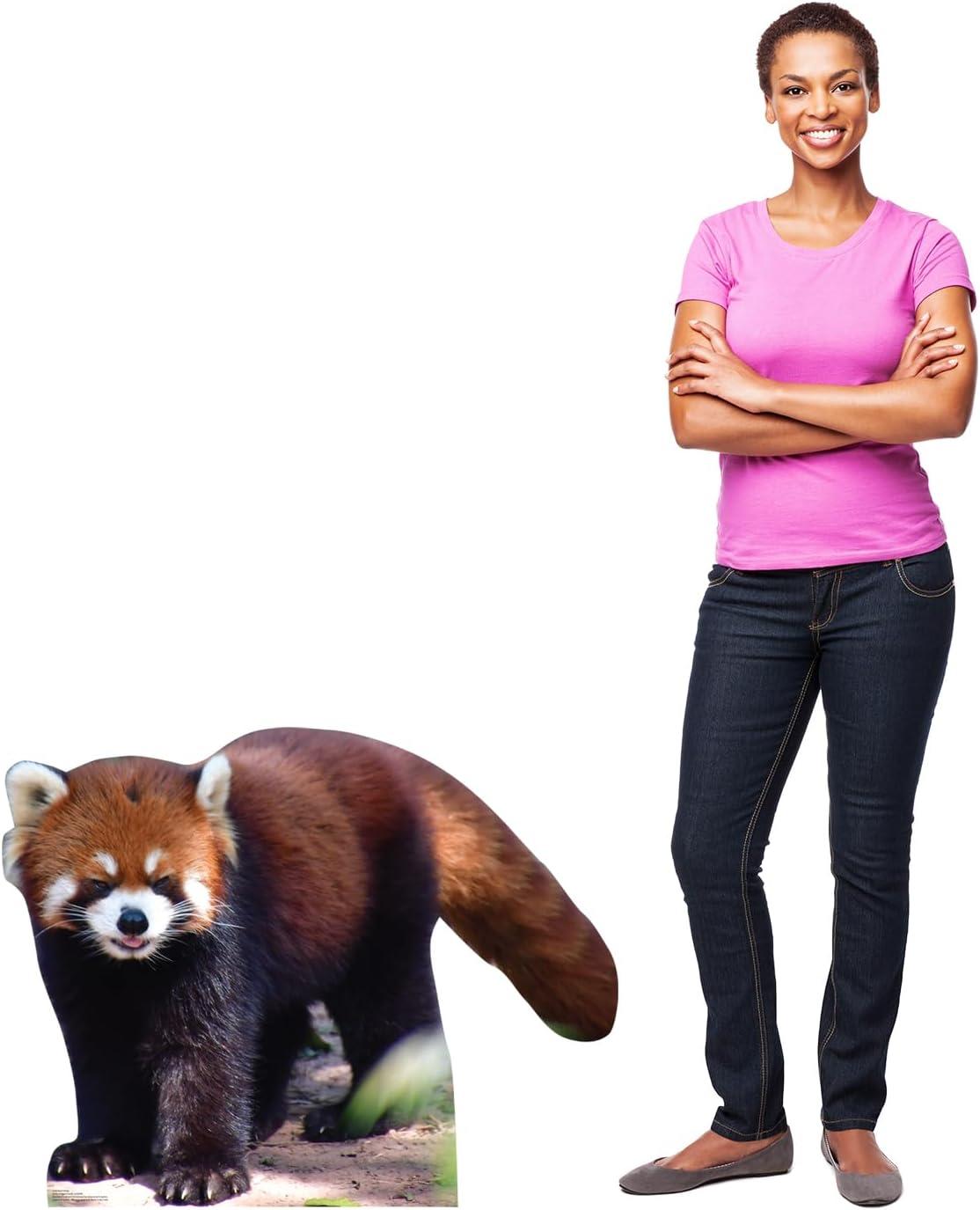 Life-Size Red Panda Cardboard Cutout Standee