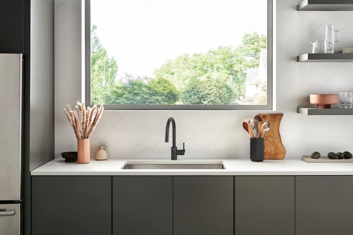 Sleek Matte Black Single-Handle Pull-Down Kitchen Faucet