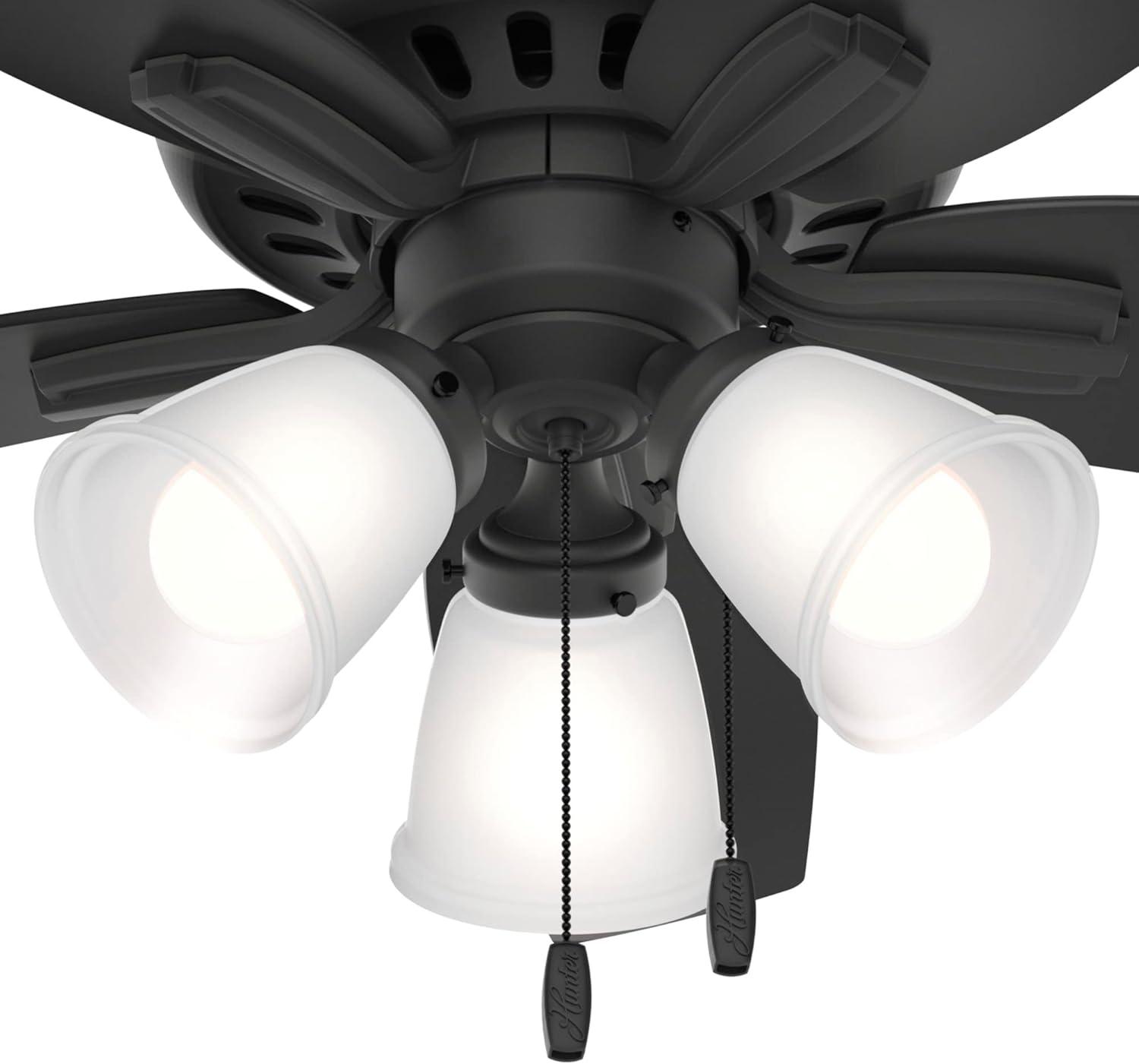 Newsome 42" 5 - Blade Flush Mount Ceiling Fan with Lights and Pull Chains