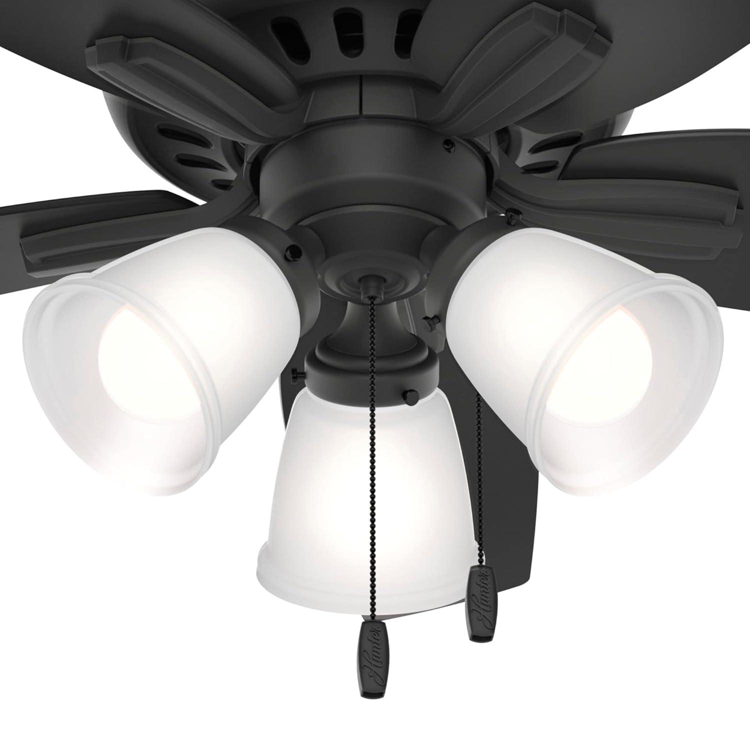 Hunter Fan Newsome 42" 5 - Blade Traditional Indoor Flush Mount Ceiling Fan with Lights and Pull Chains