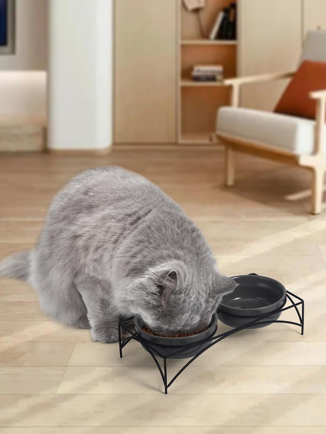 Y YHY Dog&Cat Food Bowls,12OZ Ceramic Raised Pet Bowls for Food and Water, Two Elevated Pet Dishes Bowls 2.75” Height Sturdy Metal Stand, Grey