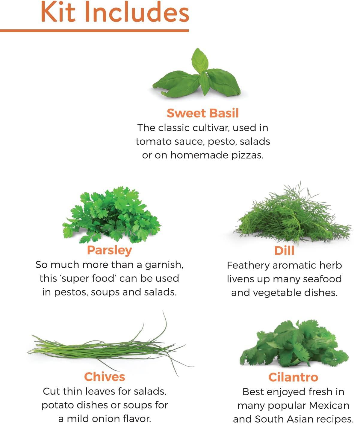 Burpee Culinary Herb Seed Starter Kit