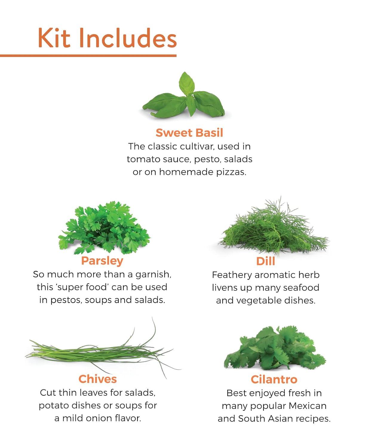 Burpee Culinary Herb Seed Starter Kit