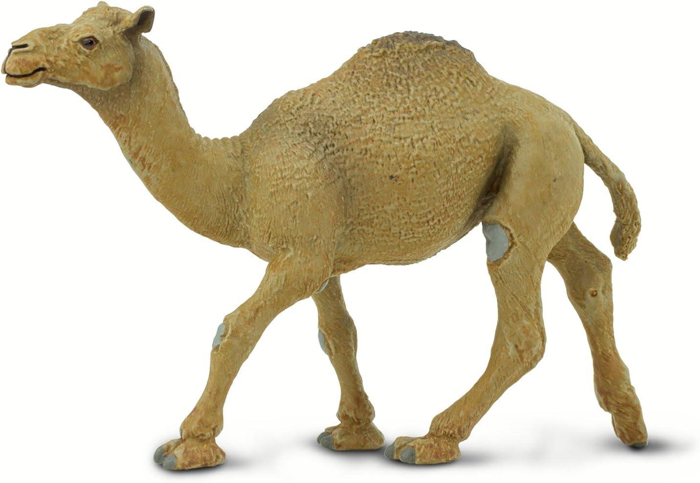 Safari Ltd. Dromedary Camel Figurine - Lifelike 5.75" Model Figure - Educational Toy for Boys, Girls, and Kids Ages 3+