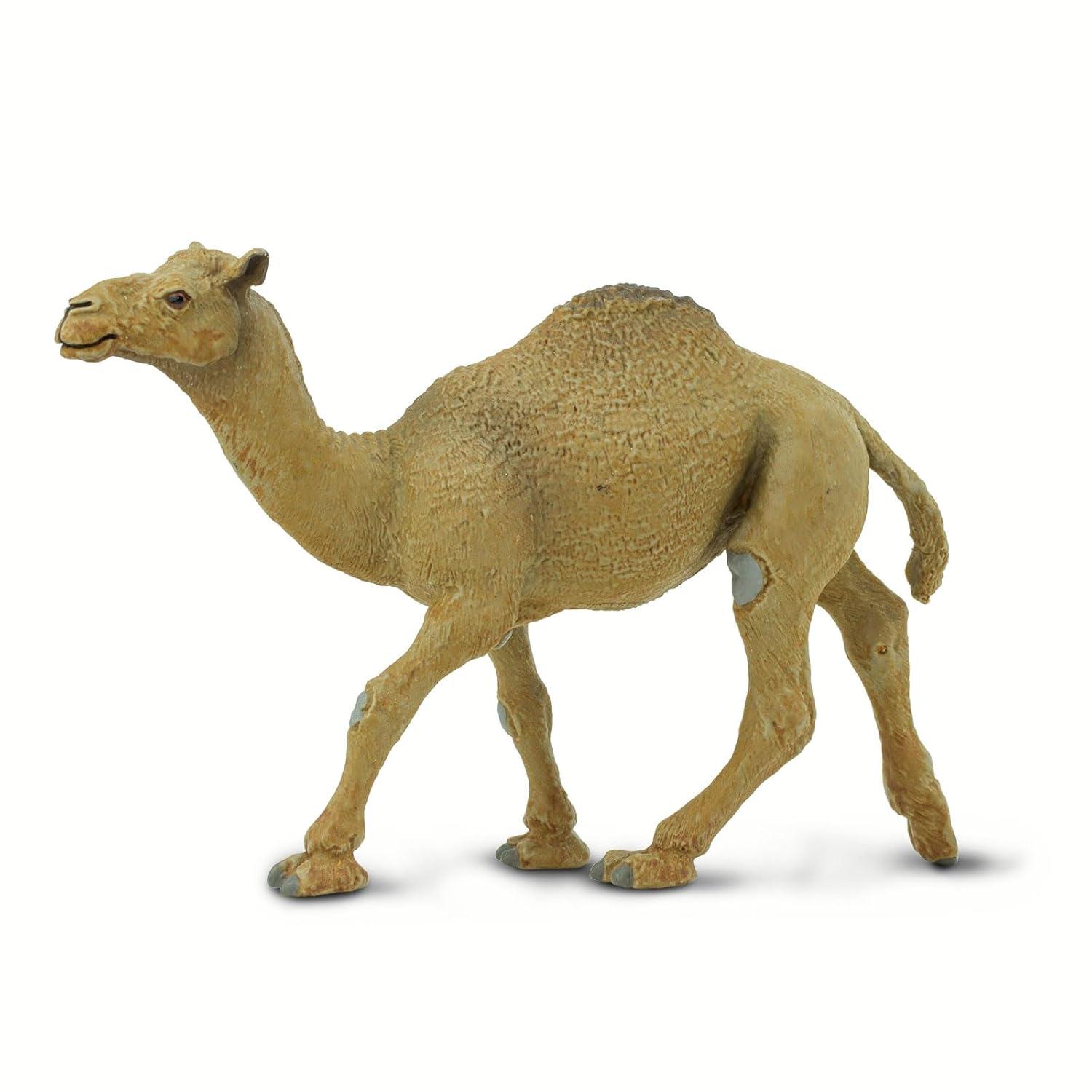 Safari Ltd. Dromedary Camel Figurine - Lifelike 5.75" Model Figure - Educational Toy for Boys, Girls, and Kids Ages 3+