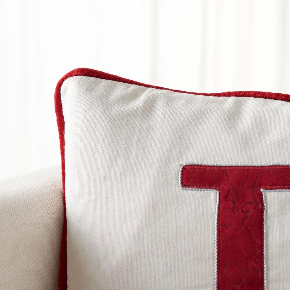 Reversible Throw Pillow