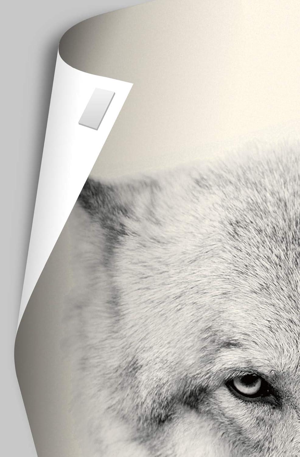 Trends International Reinders - Funky Giraffe Unframed Wall Poster Print White Mounts Bundle 14.725" x 22.375"