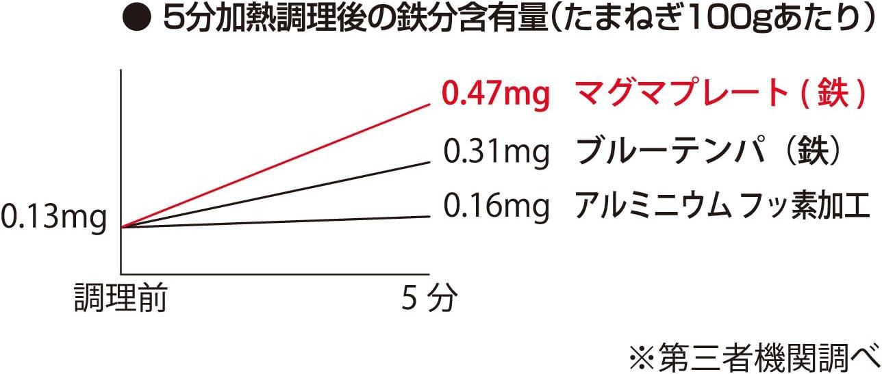 TAKUMI JAPAN Magma Plate Iron Frying Pan 20cm
