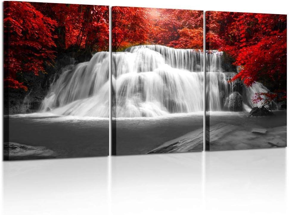 Black White and Red Waterfall Landscape Canvas Art