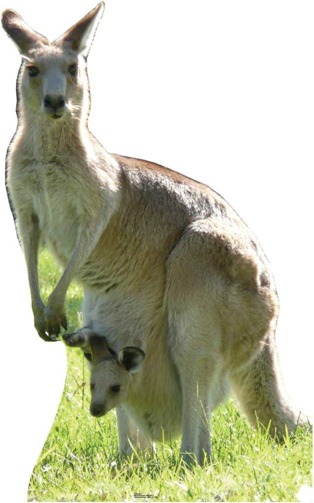 Kangaroo Cardboard Stand-Up