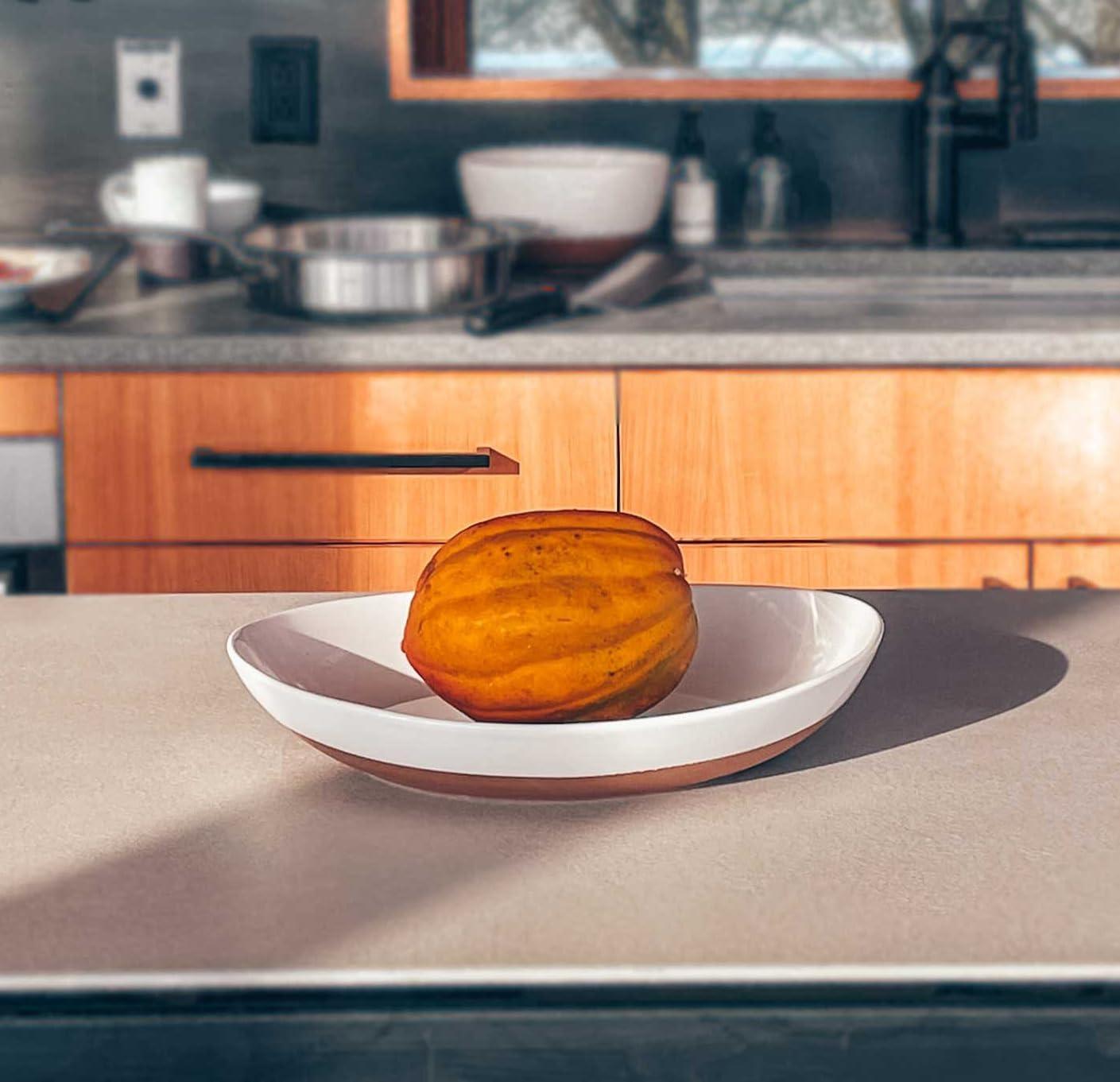 Farmhouse Oval Ceramic Serving Bowls Set of 2, Dishwasher Safe