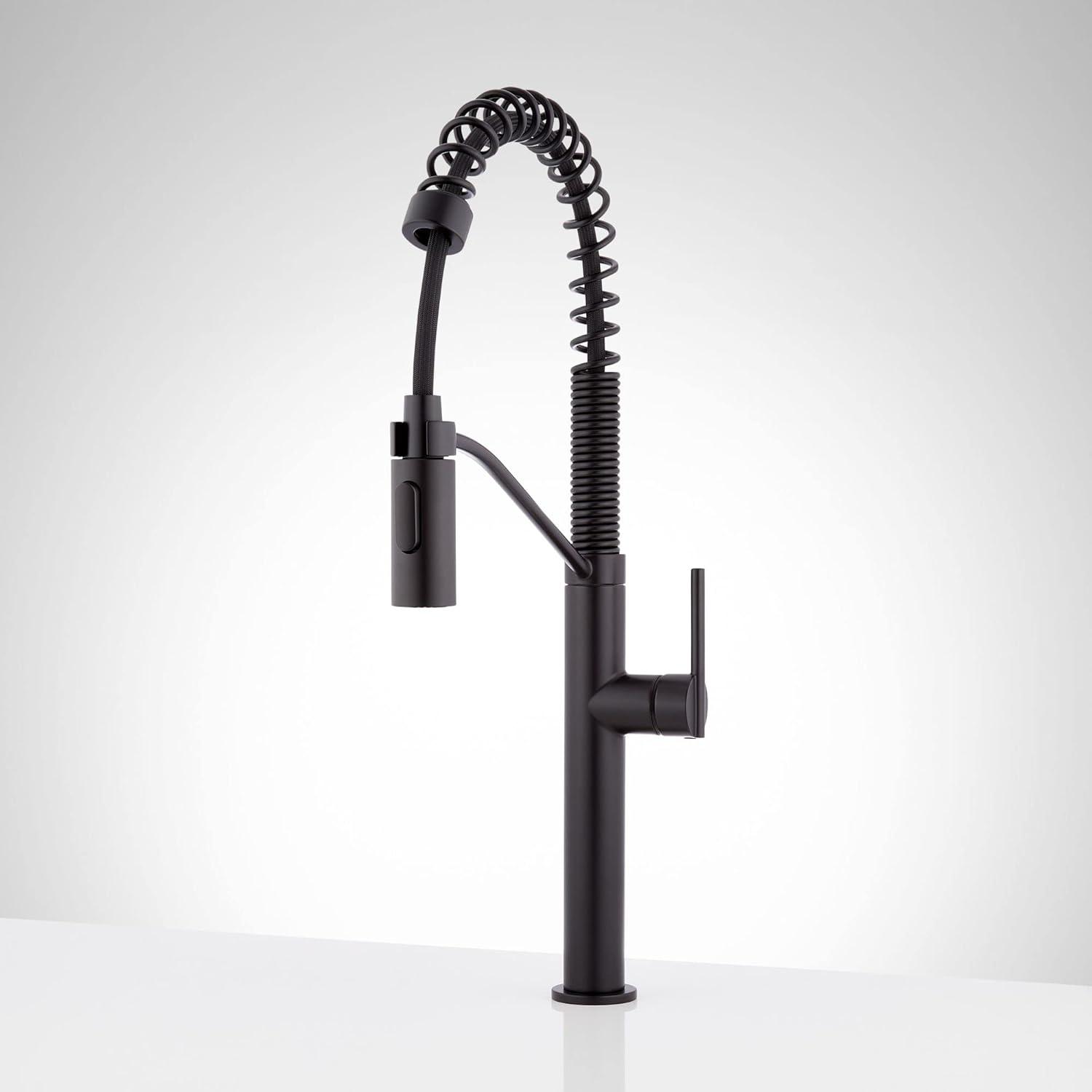 Matte Black Single Handle Pull-Down Kitchen Faucet with Spray