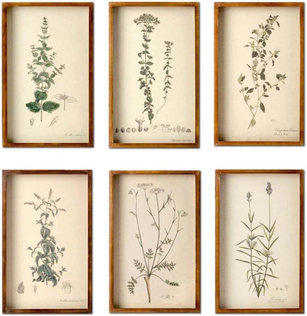 Rustic Natural Wood Framed Botanical Prints Set of 6