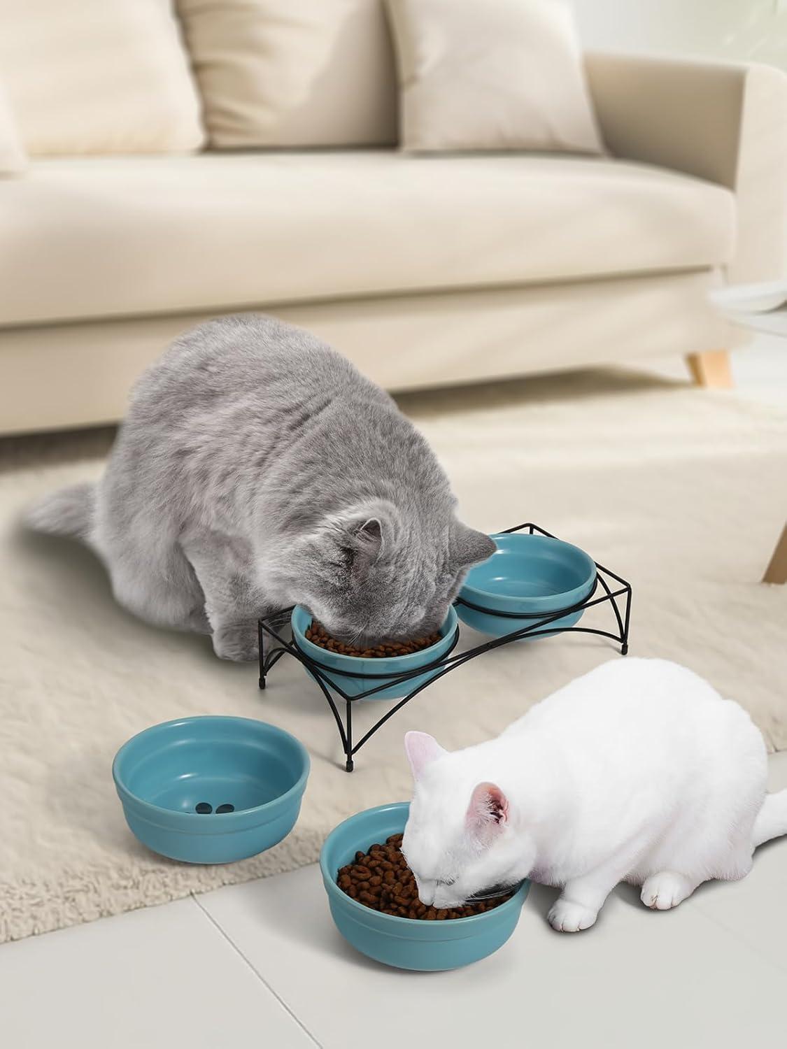 Turquoise Ceramic Elevated Pet Bowls with Metal Stand