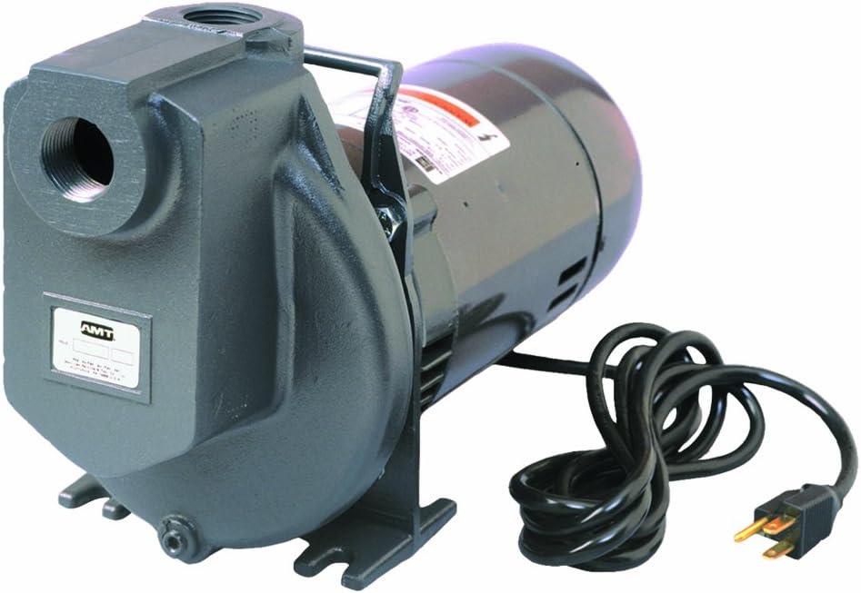 AMT Pump 4292-96 Self-Priming Utility Pump, Aluminum, 1/2 HP, 1 Phase, 115V, Curve C, 1" NPT Female Suction & Discharge Ports