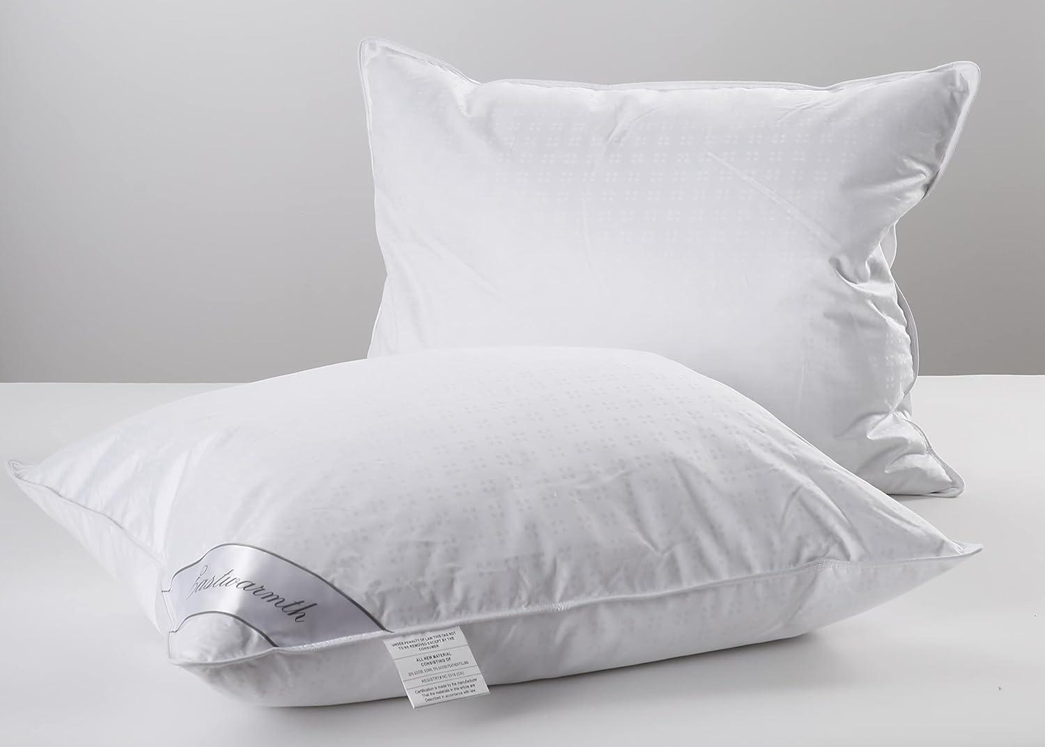 Natural Goose Down&Feather Pair Pillows Insert, Set of 2 Bedding Soft Pillows 100% Soft Cotton Queen 20x30in