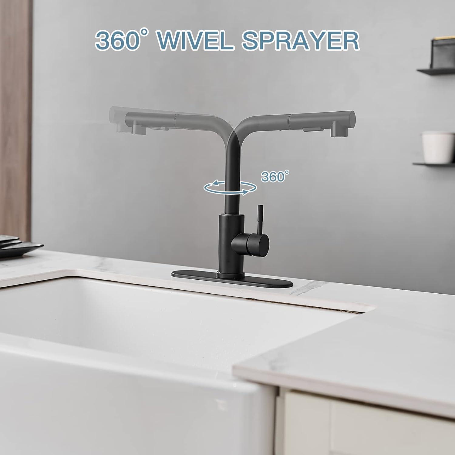 Matte Black Stainless Steel Pull-Out Spray Kitchen Faucet