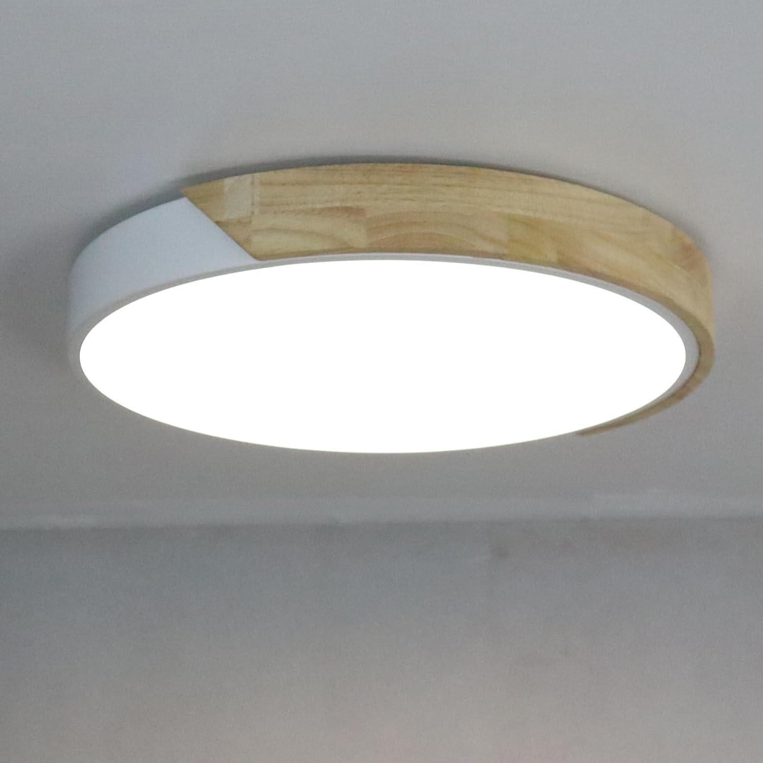 Modern White Flush Mount LED Ceiling Light Fixture