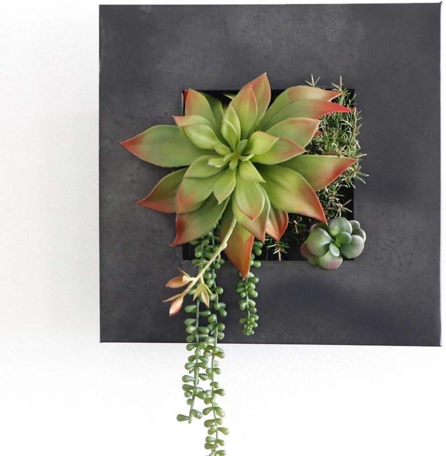 Modern Home Living Wall Galvanized Steel/Zinc Succulent Planter (Black Zinc, 4 Pocket)