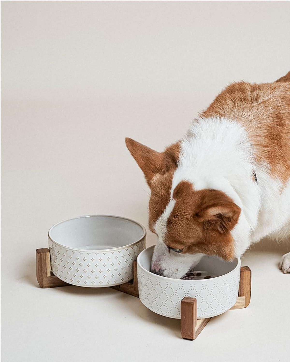 7 Inches Dog Food and Water Bowl