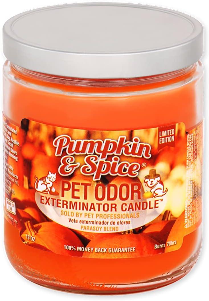 Pet Odor Exterminator Candle 13oz jar, Pumpkin  Spice