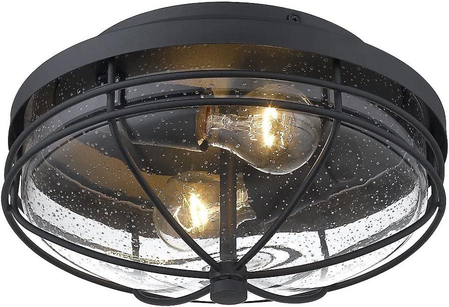 Golden Lighting Seaport 2-Light Outdoor Flush Mount in Natural Black with Seeded Glass
