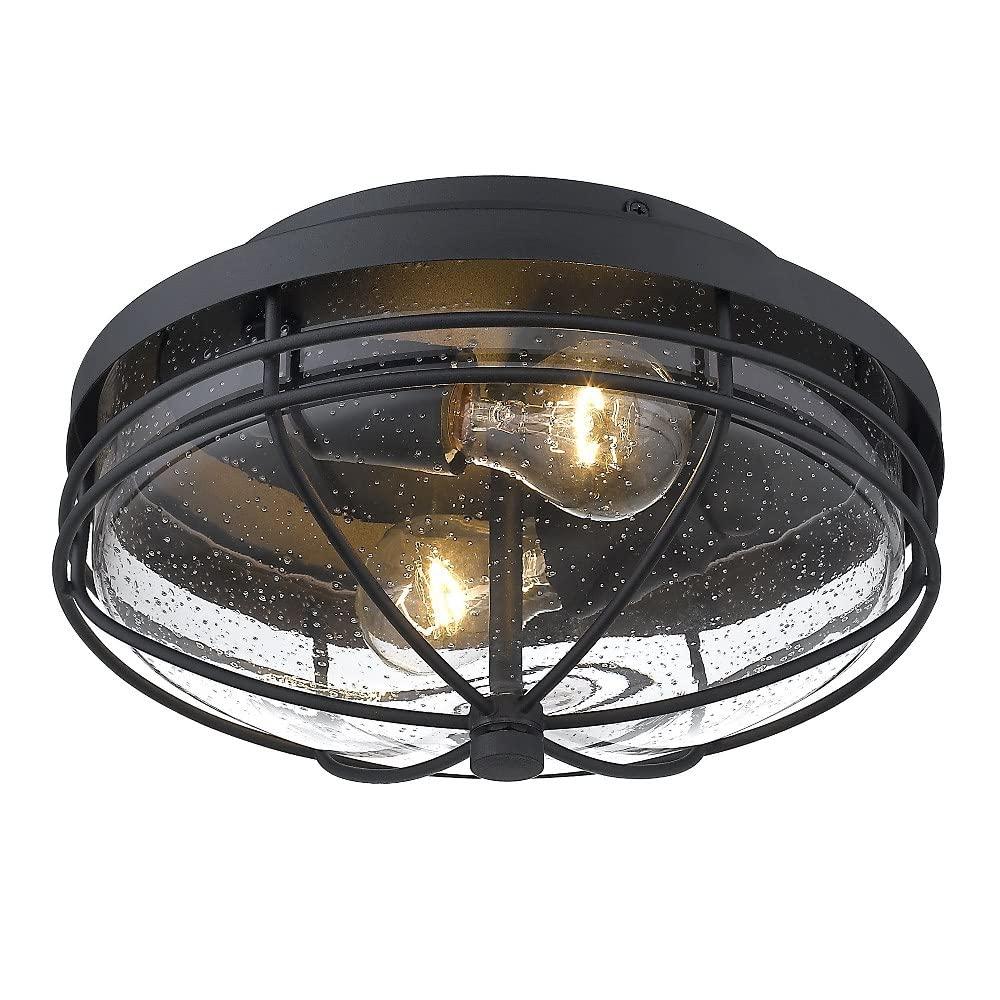 Golden Lighting Seaport 2-Light Outdoor Flush Mount in Natural Black with Seeded Glass