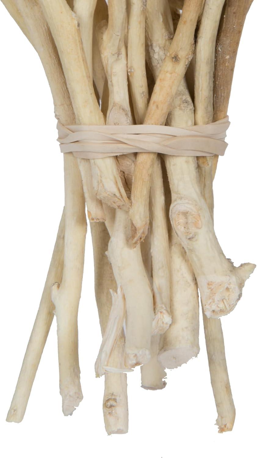 Primrue Natural Botanicals 11" x 2-4" Conical Gum Branch, 20 stems per unit