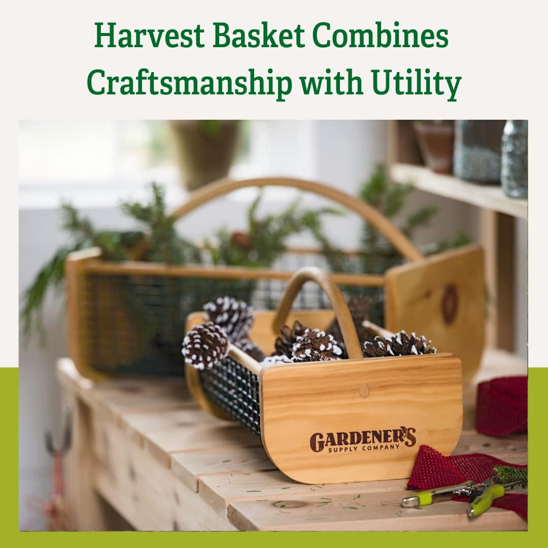 Gardeners Supply Company Garden Hod Harvest Basket | Versatile Gardening Fruits & Vegetables Gathering Basket | Natural Smooth Pine - Maple Frame &