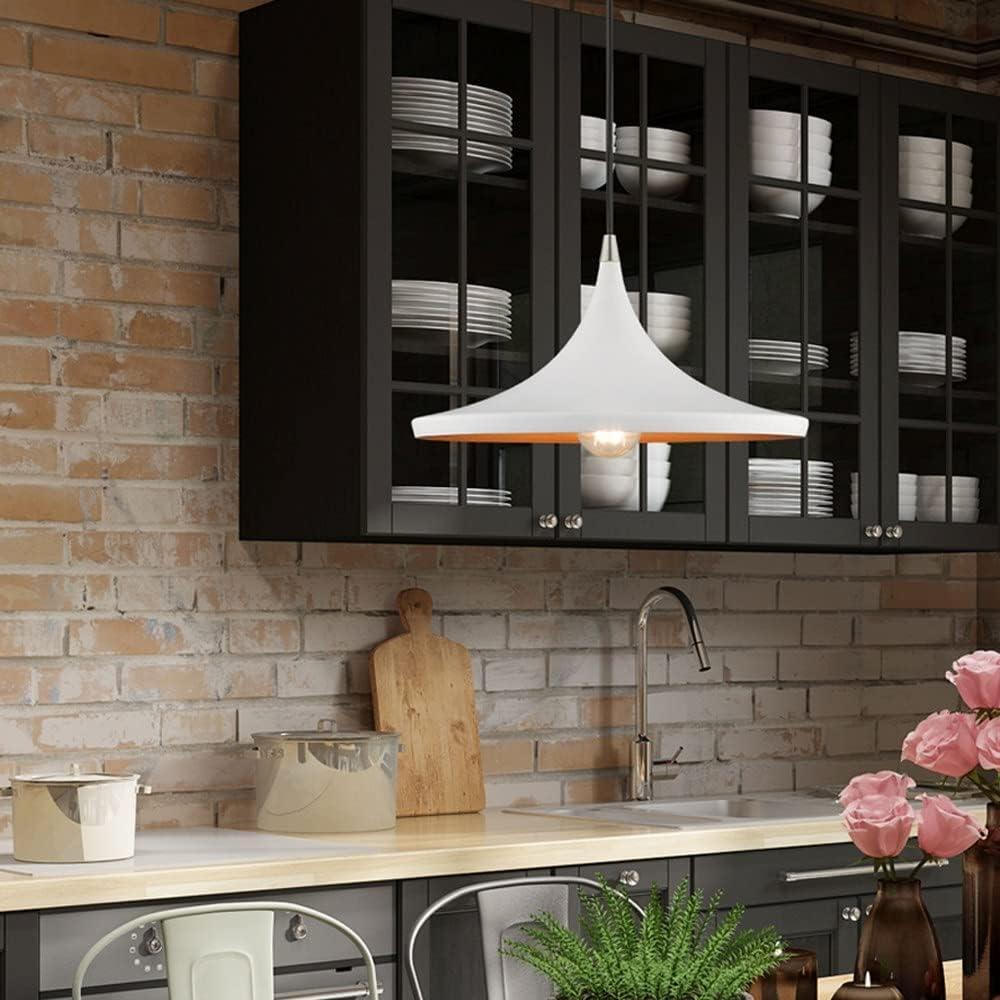 Livex Lighting Metal Shade 1 - Light Chandelier in  Black