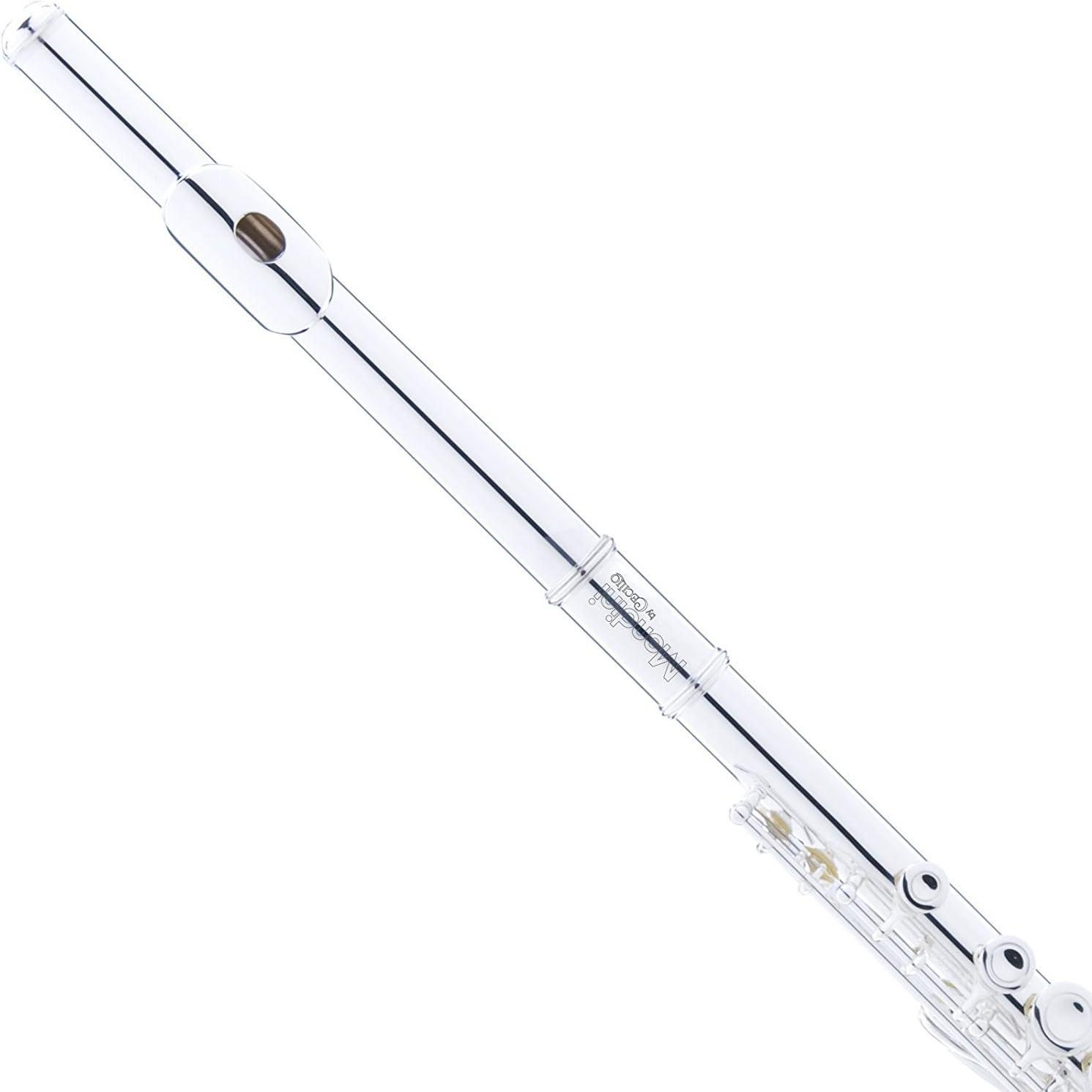 Mendini By Cecilio Flute, 16 Keys C Flute Instrument Closed Hole For Beginners with Carrying Case, Cork Grease, Stand, Lesson Book, Cleaning Kit, Gloves (Black)