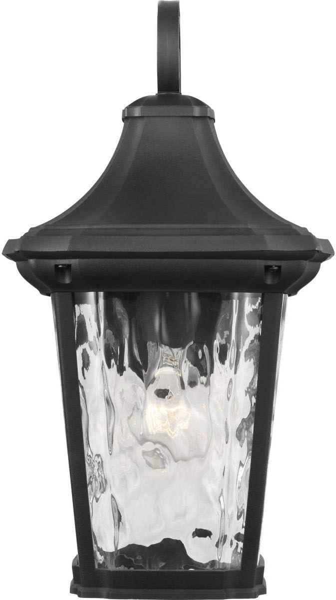 Progress Lighting Marquette 1-Light Outdoor Wall Lantern in Black with Water Glass Shade