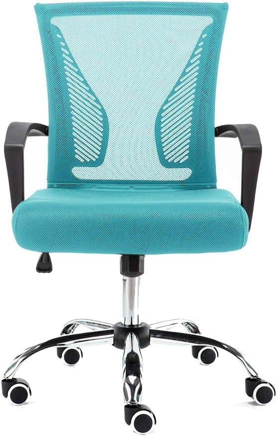 Drevy Zuna -Back Office Task Chair - Ergonomic Back Supporting Mesh Back Desk Chair (Black/Aqua)