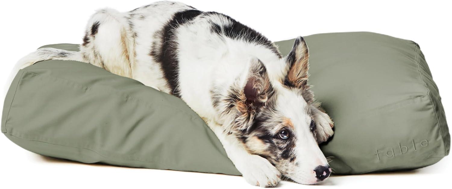 Fable Pets Orthopedic Pet Bed