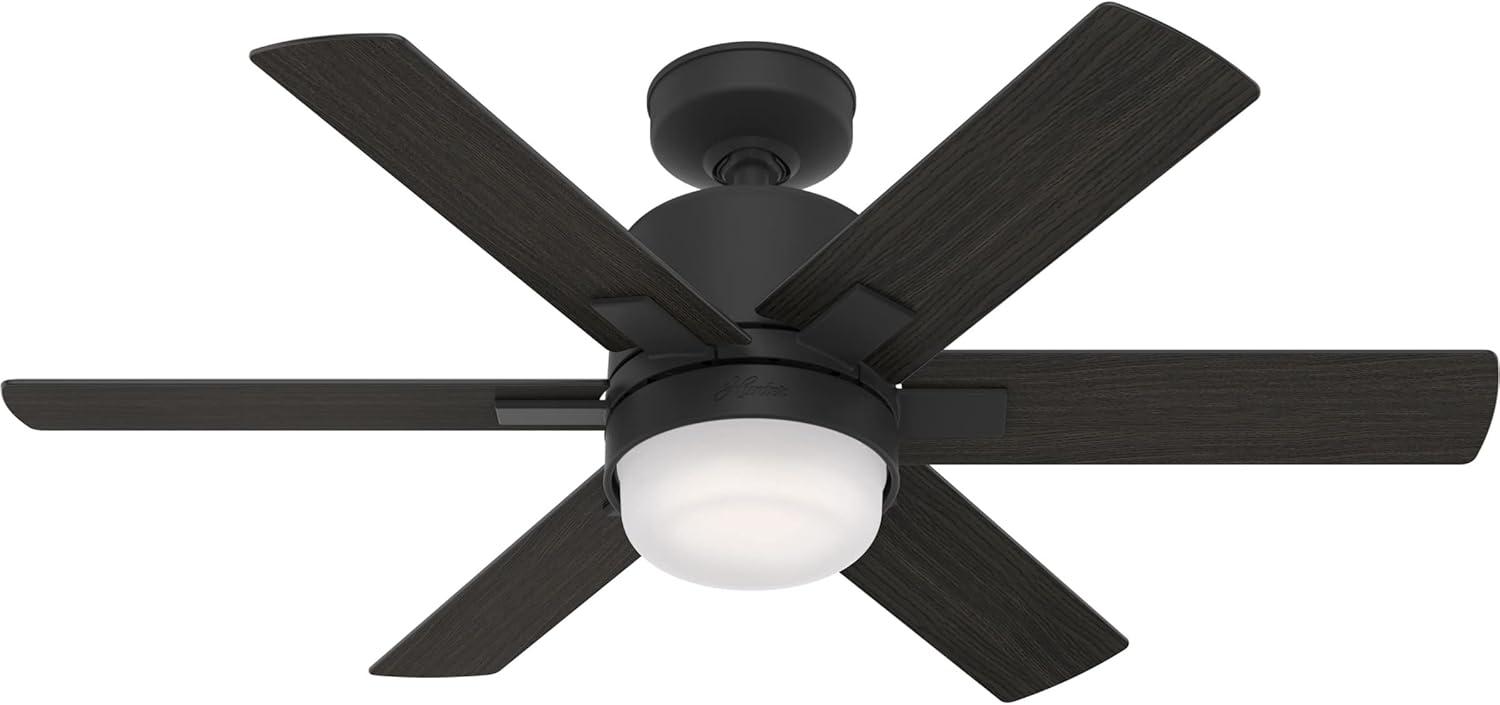 Radeon 44" Matte Black Smart Ceiling Fan with LED Light and Remote