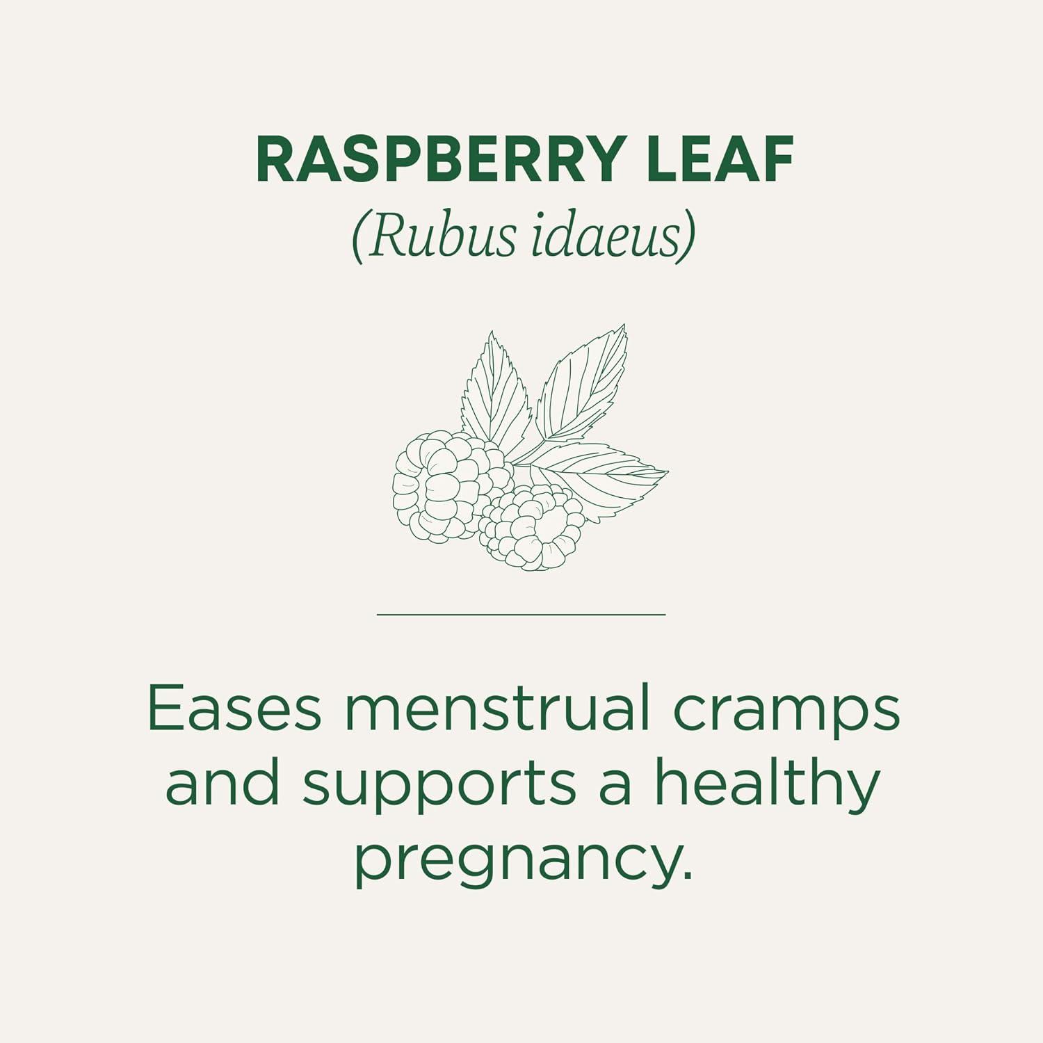 Traditional Medicinals Organic Raspberry Leaf Herbal Tea - 16ct