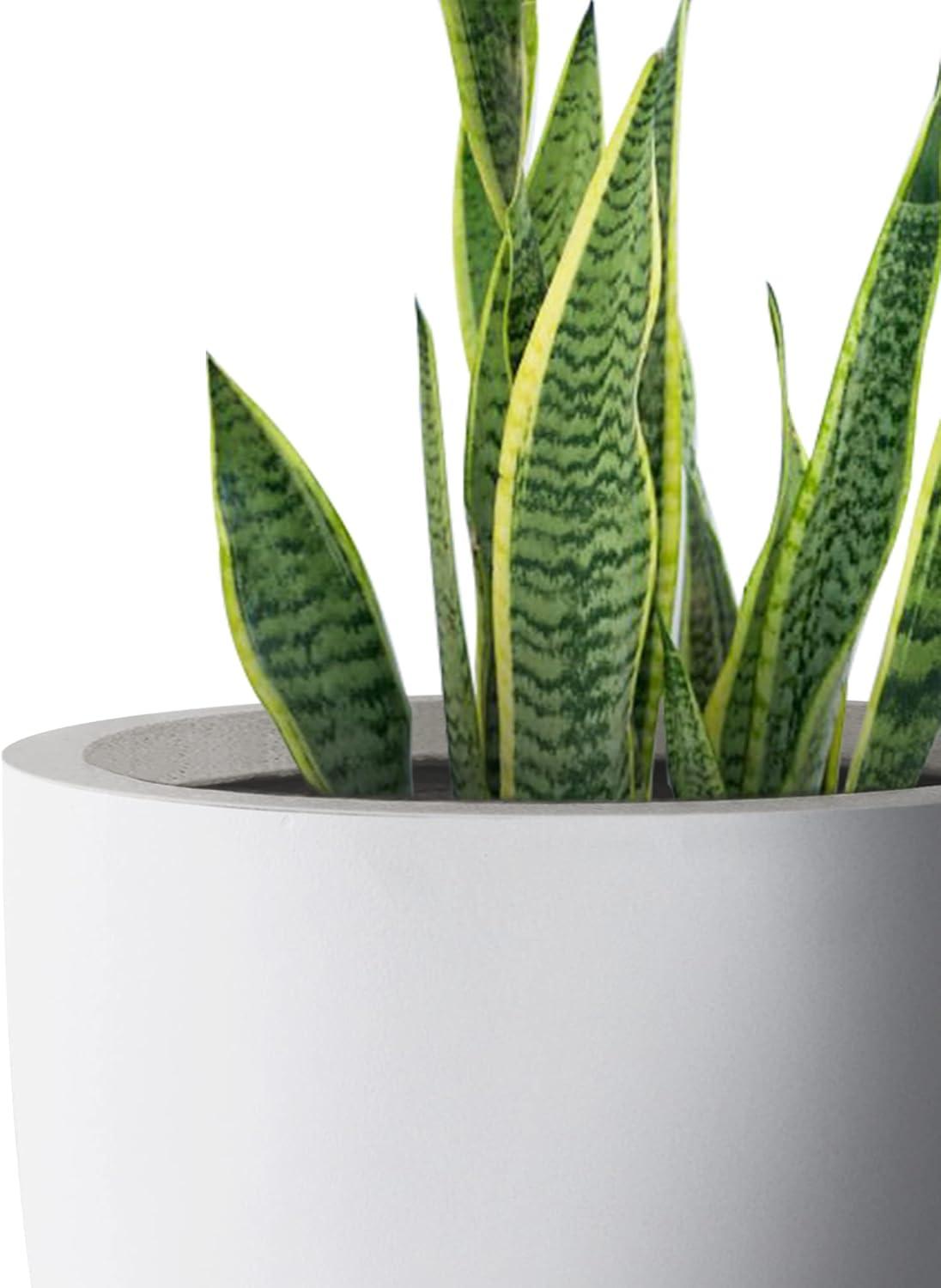 Eco-Friendly Large Pure White Round Concrete Planter with Drainage