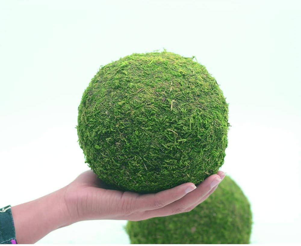 Nice purchase Handmade Natural Green Plant Moss Balls Decorative for Home Party Display Decor Props (6 in)