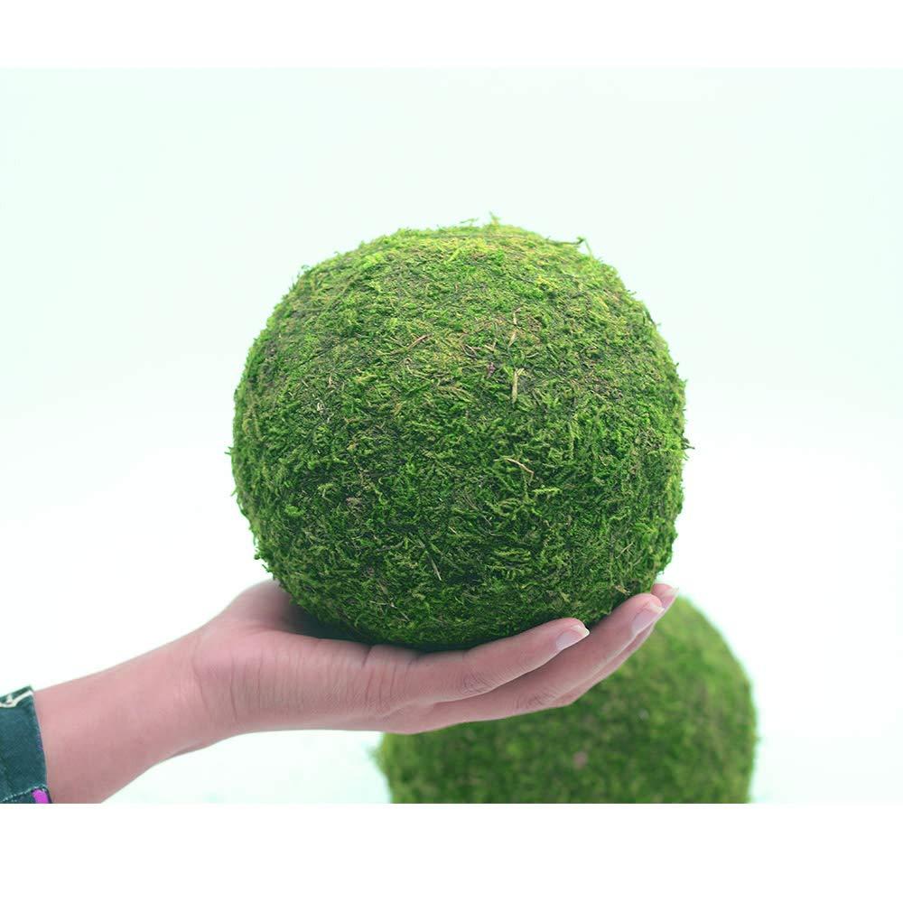 Nice purchase Handmade Natural Green Plant Moss Balls Decorative for Home Party Display Decor Props (6 in)