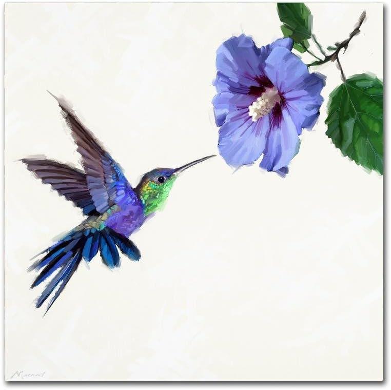 Trademark Fine Art The Macneil Studio " Humming Bird " by The Macneil Studio