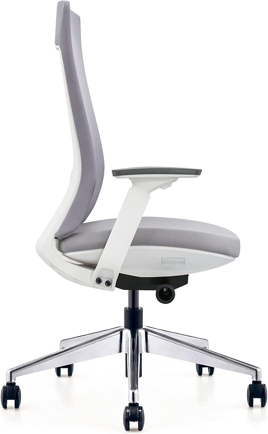 Eurotech Elevate Ergonomic Adjustable Office Chair, White Frame Gray Mesh
