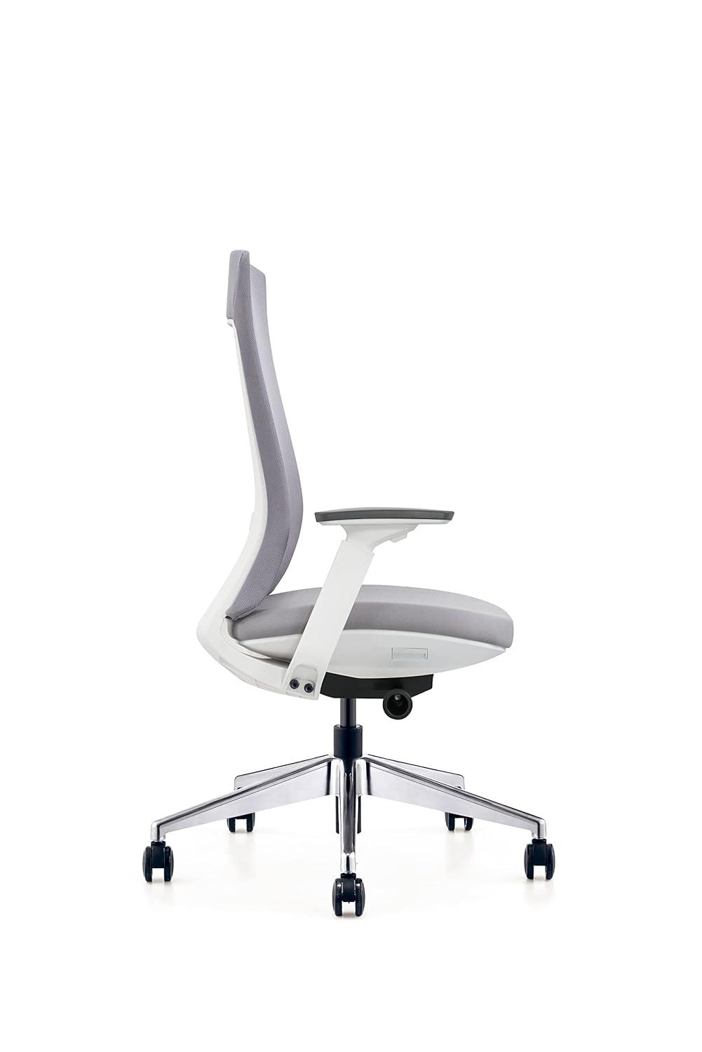 Eurotech Elevate Ergonomic Adjustable Office Chair, White Frame Gray Mesh
