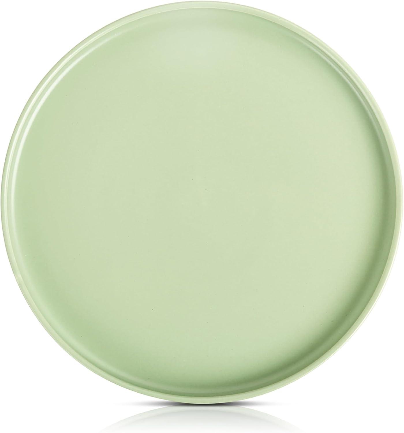 Birch Lane™ Xander 6-Piece Dinner Plate Set Porcelain