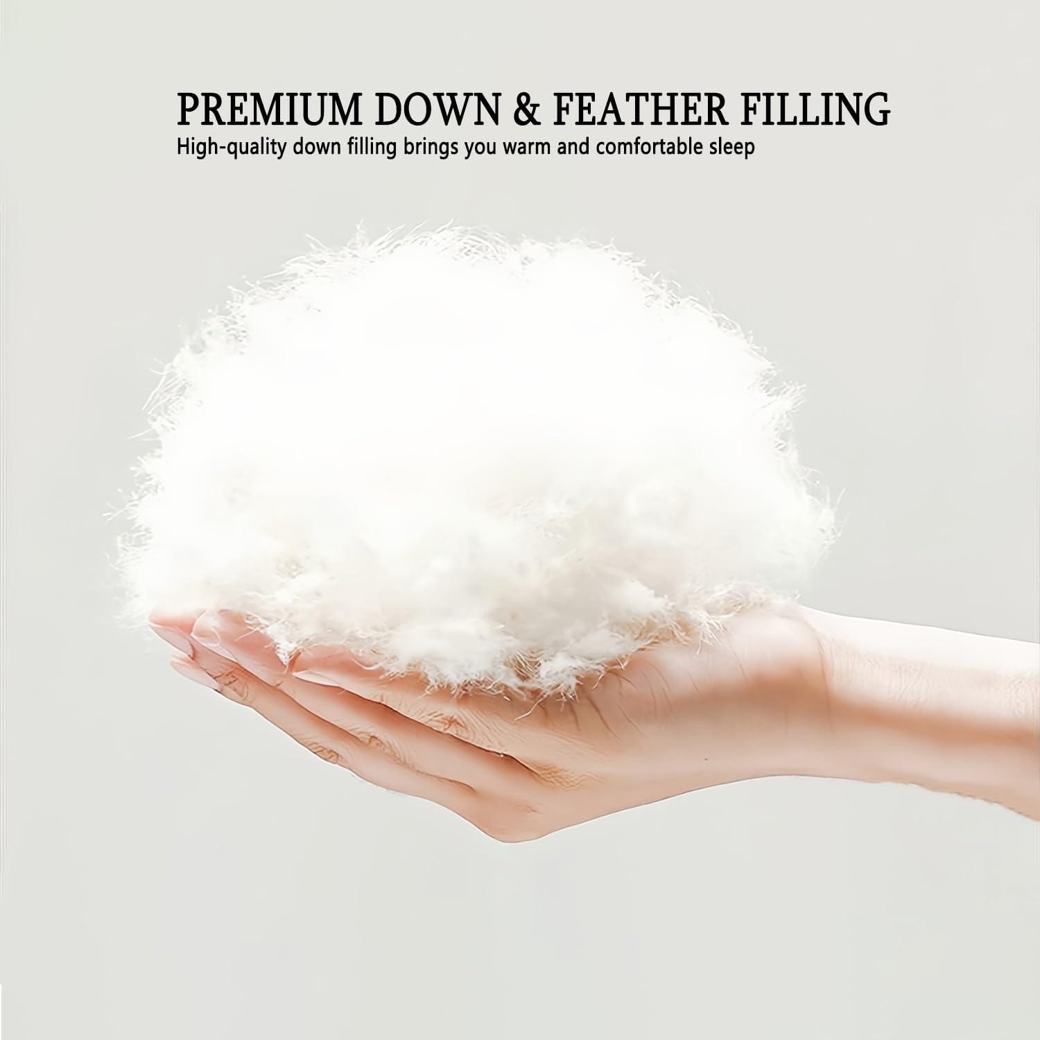Alwyn Home 600in³/oz Fill Power Winter Goose Down Comforter