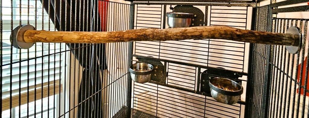 Polly's Full Length Hardwood Bird Perch, 28-Inch