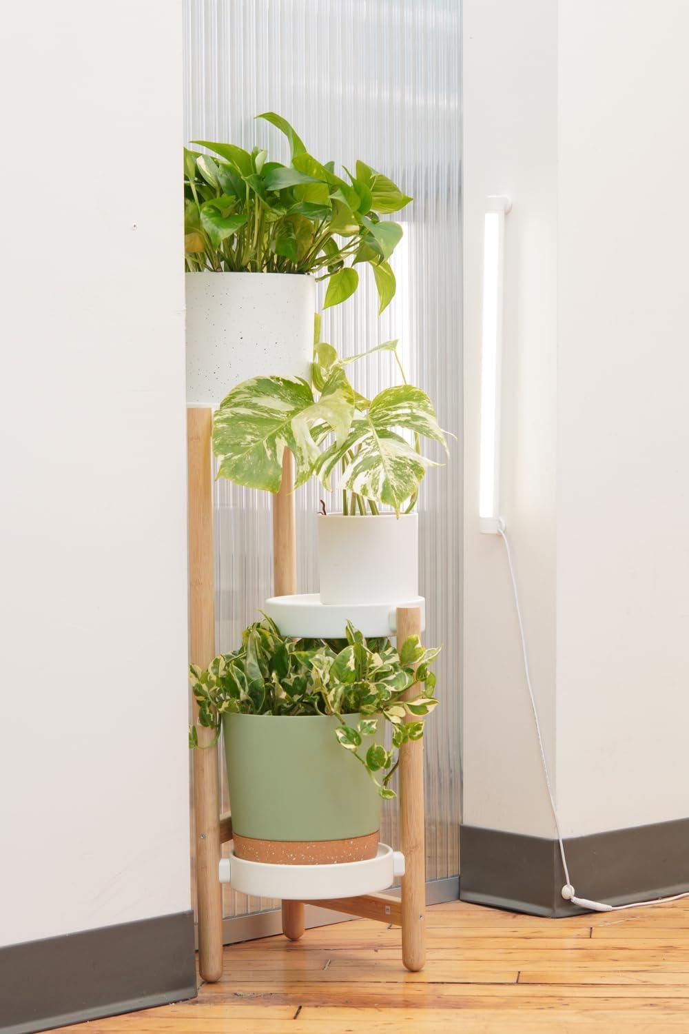 Soltech Solutions Grove™ LED Grow Light - Under-Cabinet/Shelving or Wall Mounted LED bar Light for Indoor houseplants and Herbs - Touch Control Power and dimming (White)